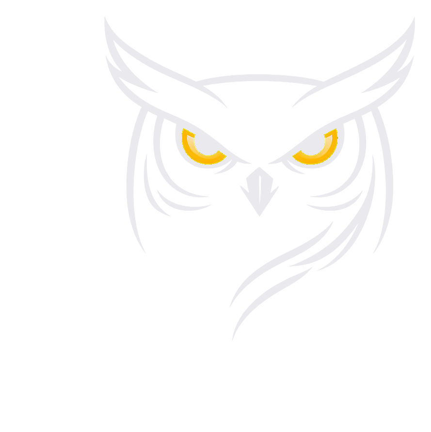 霜鸮科技 LOGO